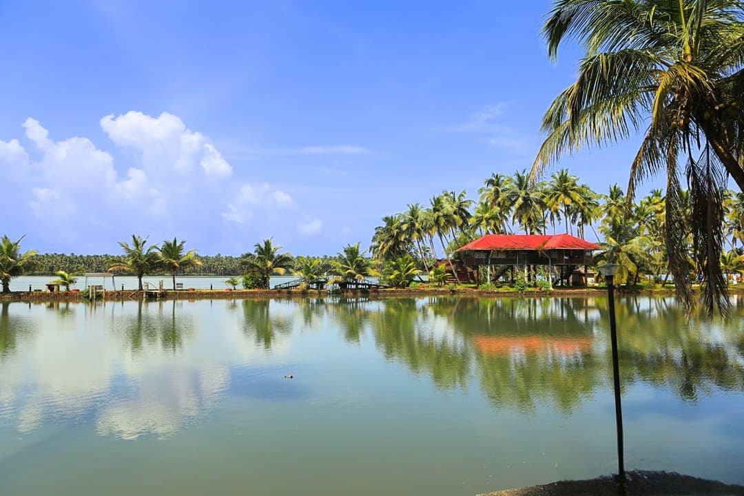 Backwater & Boat Cruises